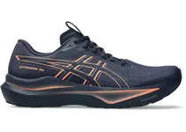  Asics 1011C...