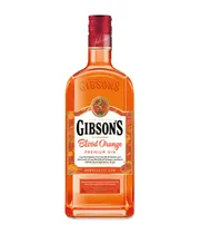  Gin Gibson'...