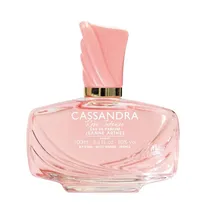 Perfume Jeanne Arthes Cassandra Rose Intense Feminino Edp 100ML