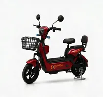  Moto Electr...