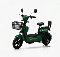  Moto Electr...