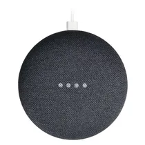  Google Home...