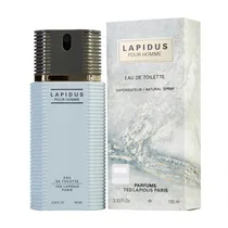 Perfume Lapidus Ted Lapidus Edt Masculino 100ML