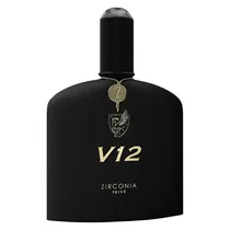 Perfume Zirconia V12 Masculino Edp 100ML