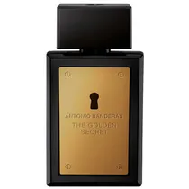 Perfume Antonio Banderas The Golden Secret Masculino Edt 100ML