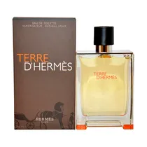 Hermes Perfume Terre D'Hermes M Eau de Toilette 200ML