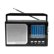 Radio Ecopower EP-F313 Rec / USB / SD / BLT
