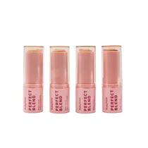 Base Facial Ruby Rose Perfect Blend Stick 10GR