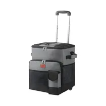 Bolsa Térmica Con Rueda Milan BT-30 30L Gris