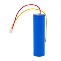 Bateria de Lithium Recarregavel com Conector