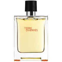 Perfume Hermes Terre D'Hermes Eau de Toilette 100ML