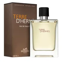 Perfume Hermès Terre D Hermes Edt 100ML - Masculino