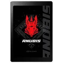  SSD 2.5 256...