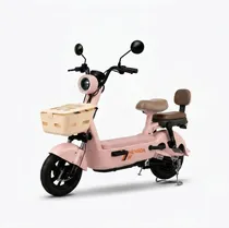  Moto EléTri...