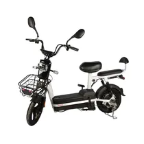  Moto Eléctr...