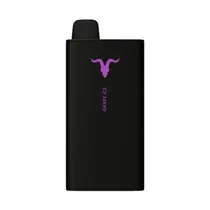 Ignite V400 Sweet Grape Ice 40.000 Puffs