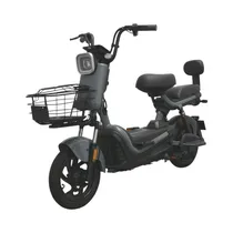  Moto Eléctr...