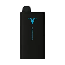 Ignite V400 Sweet Watermelon Ice 40.000 Puffs