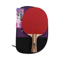  Paleta de P...