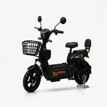  Moto Electr...
