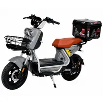  Moto Eletri...
